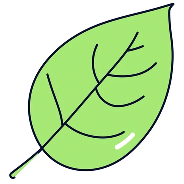 A detailed closeup of a leaf showing its texture and veins.