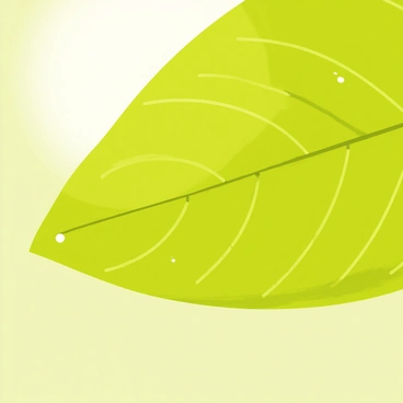 A close-up illustration of a leaf with intricate details. The leaf has a smooth, bright green texture and prominent veins running through it. The chlorophyll cells are visible, showcasing various shades of vibrant green, capturing the sunlight. Tiny droplets of water glisten on the leaf's surface, adding to the fresh appearance. The leaf is placed against a soft, blurred background to emphasize its details.