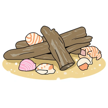 A bundle of driftwood and seashells collected on a beach
