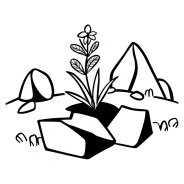 An alpine plant with intricate leaves and delicate flowers is emerging from a crack in rugged, gray rocks. The surrounding terrain is uneven, featuring sharp edges and varying sizes of stones. Small patches of moss are scattered among the rocks, adding texture to the scene. The background includes more rocky formations, emphasizing the harsh environment in which the plant thrives. The overall composition highlights the resilience of nature in a challenging landscape.
