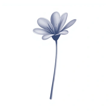 A single black flower with delicate petals is positioned centrally on a plain white background. The flower has a slender stem that extends downward. Its petals are elegantly shaped, displaying a detailed texture that highlights their natural form. The simplicity of the composition emphasizes the beauty and intricacy of the flower against the stark contrast of the white backdrop.