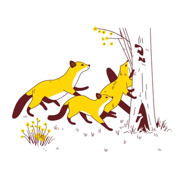 A yellow family of pine martens is playing together in a white woodland clearing filled with soft grass. The sun filters through the branches overhead, casting gentle light on the playful scene. Two of the martens are chasing each other in a playful manner, while another is climbing up a small white tree trunk. Nearby, a cluster of delicate yellow wildflowers grows, adding to the vibrant atmosphere of the woodland.