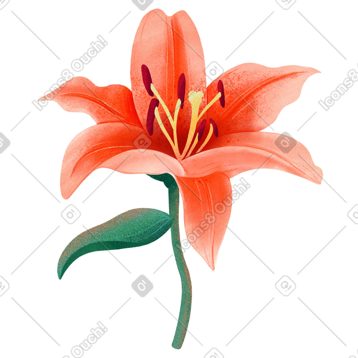 Floral スタイルの Orange lily on a stem のイラストをPNG、SVG形式でダウンロード