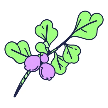 An artist's sketch of a fig branch is displayed prominently on a blank page. The branch is slender and slightly curved, with several detailed green leaves attached. Each leaf has a distinct shape, with prominent veins clearly outlined. Along the branch, there are clusters of ripe figs, showcasing their round shapes and smooth textures. The figs vary in size, some appearing plump while others are smaller, adding depth to the composition. The overall arrangement highlights the natural beauty of the fig branch, with leaves and fruits intricately interwoven.