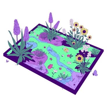 An illustrated map of a garden showcases a variety of plants with "echinacea" prominently positioned at the center. Surrounding the echinacea are clusters of "lavender" in "purple" hues, alongside vibrant "yellow" sunflowers that stretch towards the sky. Pathways meander through the garden, leading to sections filled with "roses" and "ferns," each labeled with their names. Small decorative elements, such as "butterflies" and "ladybugs," are interspersed throughout the map, adding life to the scene. The borders of the map are adorned with "green" leaves and "blue" accents, framing the entire garden layout.