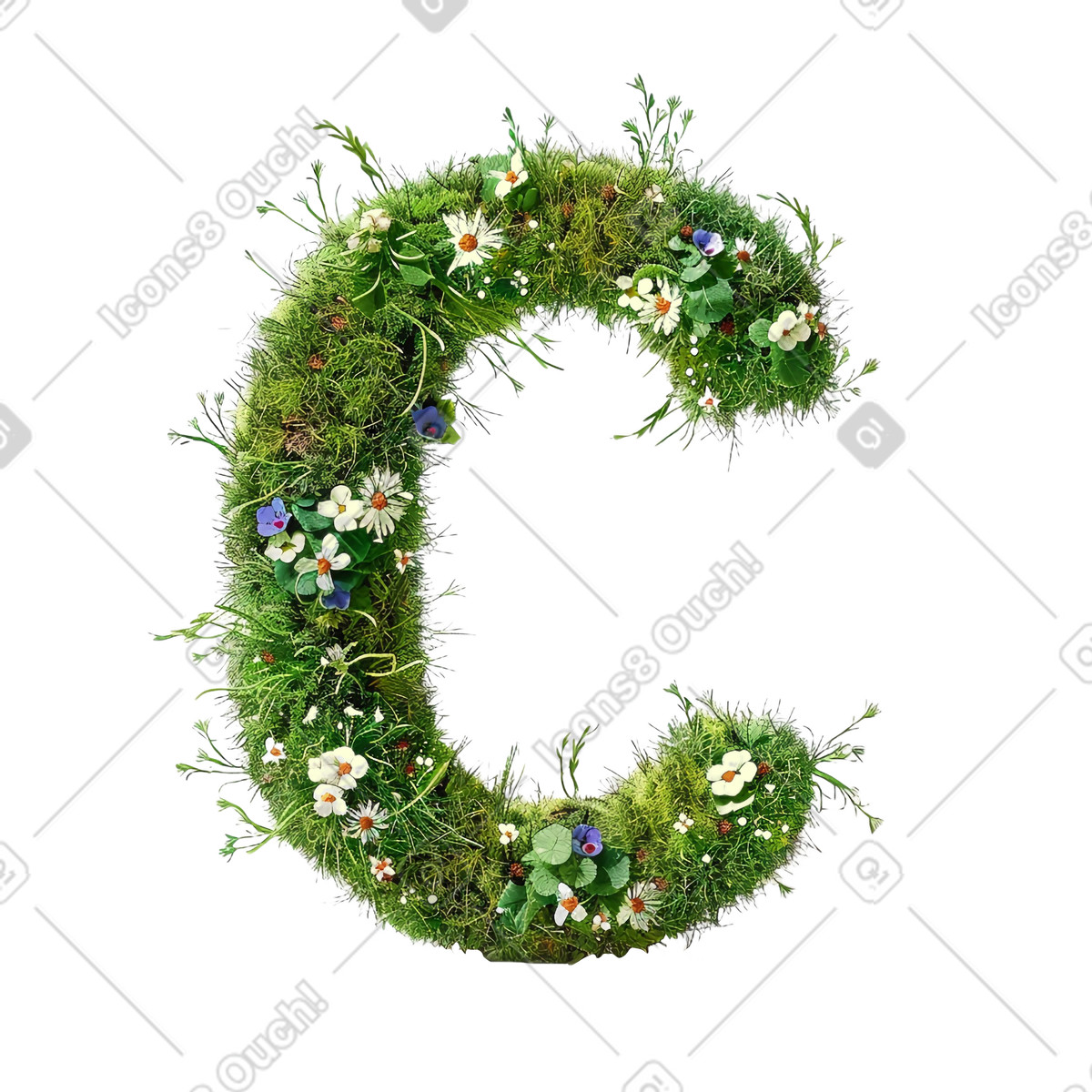 草药字母 c插图，PNG、SVG格式