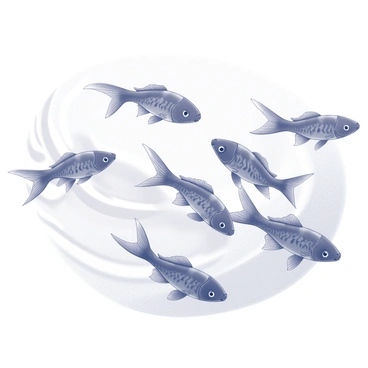 A group of zebrafish is swimming together in synchronized patterns. The zebrafish are slender and streamlined, with distinct stripes running along their bodies. They are moving gracefully through the water, forming intricate shapes as they navigate their aquatic environment. The backdrop consists of a soft, undulating water surface that captures the movement of the fish, enhancing the visual of their coordinated swimming. The scene conveys a sense of unity and harmony among the zebrafish as they glide through their habitat.