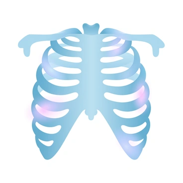 A rib cage is formed from sleek, futuristic materials with a smooth, metallic finish. The structure has intricate designs and incorporates glowing elements that pulse with a soft light. The rib cage is displayed against a plain background to emphasize its innovative shape and luminous features. The glowing elements are strategically placed, highlighting the contours and enhancing the modern aesthetic of the rib cage.