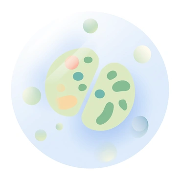 A microscopic view of a single cell undergoing cytokinesis is depicted. The cell has a round shape and is in the process of splitting into two daughter cells. The membrane of the cell is gradually constricting in the middle, creating a clear cleavage furrow. Inside the cell, organelles such as mitochondria and ribosomes are visible, distributed throughout the cytoplasm. The background is filled with a soft, blurred gradient, emphasizing the focus on the dividing cell. The overall color palette includes shades of light blue and soft green, enhancing the biological context of the scene.