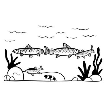A group of brook trout swimming together in a harmonious line, their bodies streamlined and elegantly shaped. The water flows gently around them, creating ripples that distort the view slightly. The trout are detailed, showcasing the unique patterns on their scales. There are varying sizes of trout within the group, some leading the formation while others follow closely behind. The surrounding environment includes natural elements like smooth rocks and underwater plants flowing with the current. The overall composition captures the fluid motion of the fish in their aquatic habitat.