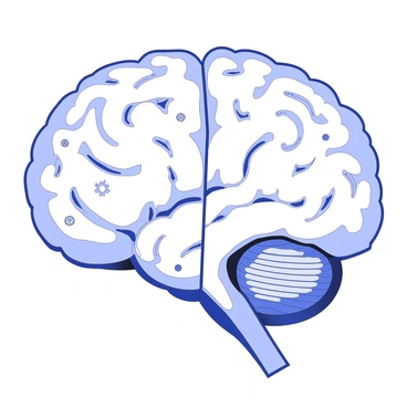 A visual comparison of activities in the left and right hemispheres of the brain