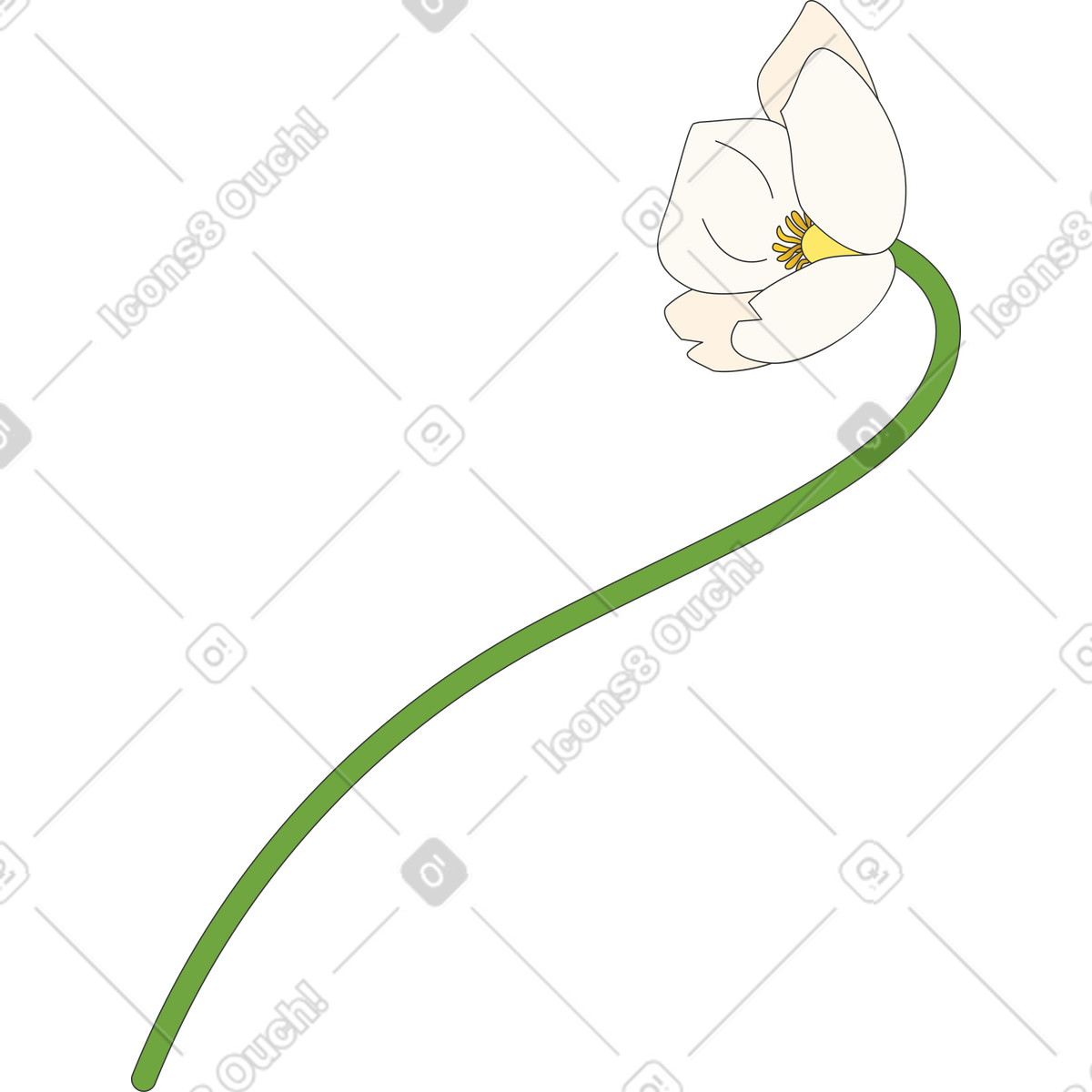 Ilustração de Flor anêmona floco neve em no estilo Kit para baixar em PNG, SVG