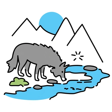 A grey wolf with a thick fur coat, standing at the edge of a clear mountain stream. The wolf is bending down, its nose touching the water's surface as it laps up the cool, refreshing liquid. Surrounding the stream are smooth stones and patches of green moss. In the background, tall rocky mountains rise under a clear blue sky, completing the tranquil scene.
