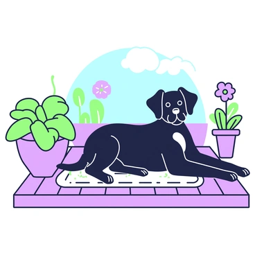A black dog is lying on a wooden patio deck, soaking up the sunshine. The dog has a shiny coat and a relaxed posture, with its legs stretched out comfortably. Surrounding the dog, there are various outdoor plants in pots, including green leaves and flowers, adding natural elements to the scene. In the background, there is a clear blue sky visible, enhancing the bright atmosphere of the sunny day. A soft, textured rug is placed beside the dog, contrasting with the wooden deck.