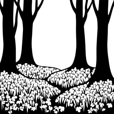 A forest floor blanketed with a dense carpet of "bluebells" stretching across the ground. The trees in the background are tall and dense, their trunks rising into the mist. Wisps of "fog" weave through the trunks, creating a shrouded atmosphere. Soft light filters down from above, illuminating the "bluebells" and casting gentle shadows. Fallen leaves are scattered among the flowers, adding to the sense of a natural, serene environment.