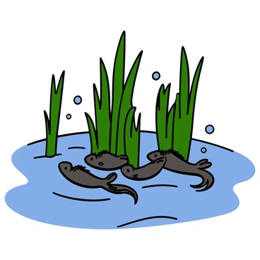A group of small, dark-colored tadpoles with elongated bodies and tiny tails swimming closely together among tall green reeds in a clear pond. The water is slightly rippling, creating reflections of the reeds above. The tadpoles are positioned in a way that suggests they are seeking cover, with some partially obscured by the reeds. Small bubbles are visible rising to the surface around them, adding to the underwater scene.