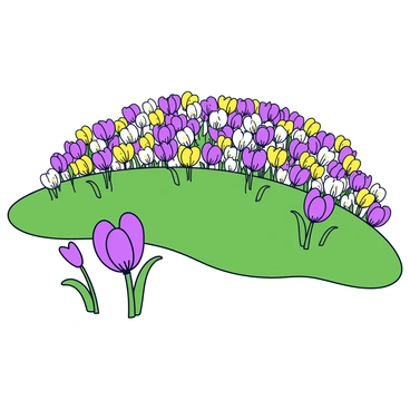 A hillside covered in a thick blanket of crocus flowers. The flowers display vibrant shades of purple, yellow, and white, creating a colorful landscape. The hillside slopes gently, allowing the flowers to spread across the surface. In the foreground, a few crocus flowers are depicted in full bloom, showcasing their delicate petals. The overall scene captures the essence of spring with the flowers dotting the green grass beneath them.