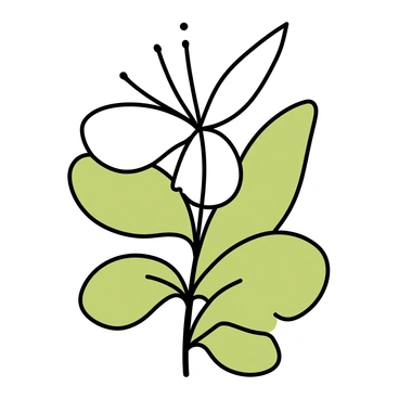 A close-up of a single "mayflower" with soft, delicate "white petals" that are slightly curled at the edges. The flower is centered against a backdrop of vibrant "green leaves" that are glossy and detailed, showing subtle veins. The composition highlights the intricate structure of the flower and the smooth texture of the leaves, creating a natural and cohesive image.