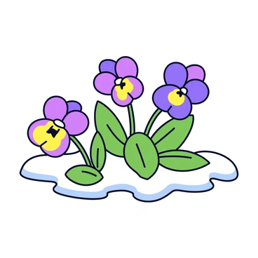 Pansies with vibrant purple and yellow petals are peeking through a light dusting of white snow. The flowers have green leaves that are slightly frosted at the edges. The snow is delicately covering the ground, creating a soft contrast against the colorful blossoms. The scene is set in a garden where the ground is partially visible between patches of snow.