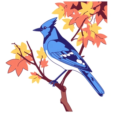 A blue jay perched amid autumn leaves on a maple tree