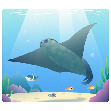 Manta ray