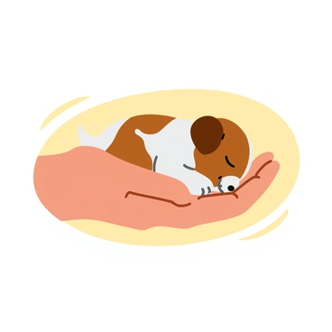 Two gentle hands cradling a small, sleeping puppy. The puppy has soft, fluffy fur in shades of brown and white, and its tiny paws are tucked under its chin. The hands are positioned delicately, showcasing the tender bond between them. A warm, soft light surrounds the scene, emphasizing the peacefulness of the puppy's slumber. The background is softly blurred to maintain focus on the hands and the puppy.