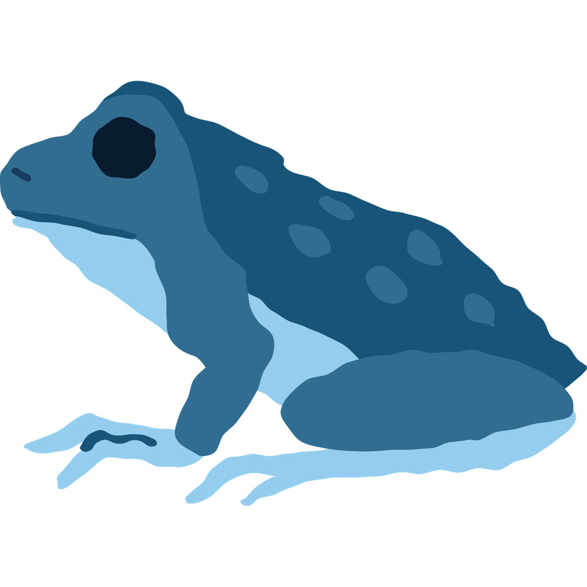 Frog sitting illustration in Cherry style download in PNG, SVG
