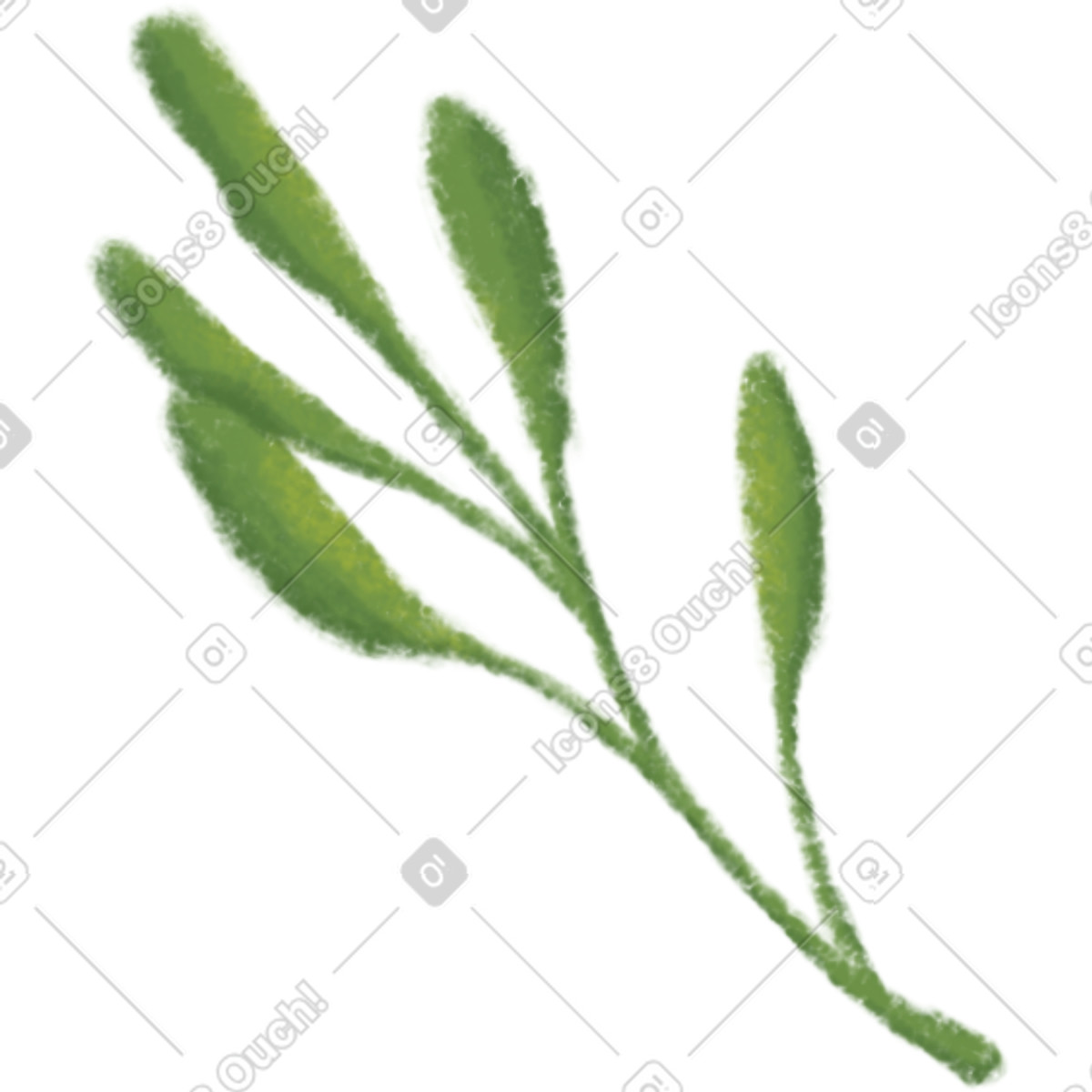 Toscana スタイルの Olive leaf のイラストをPNG、SVG形式でダウンロード