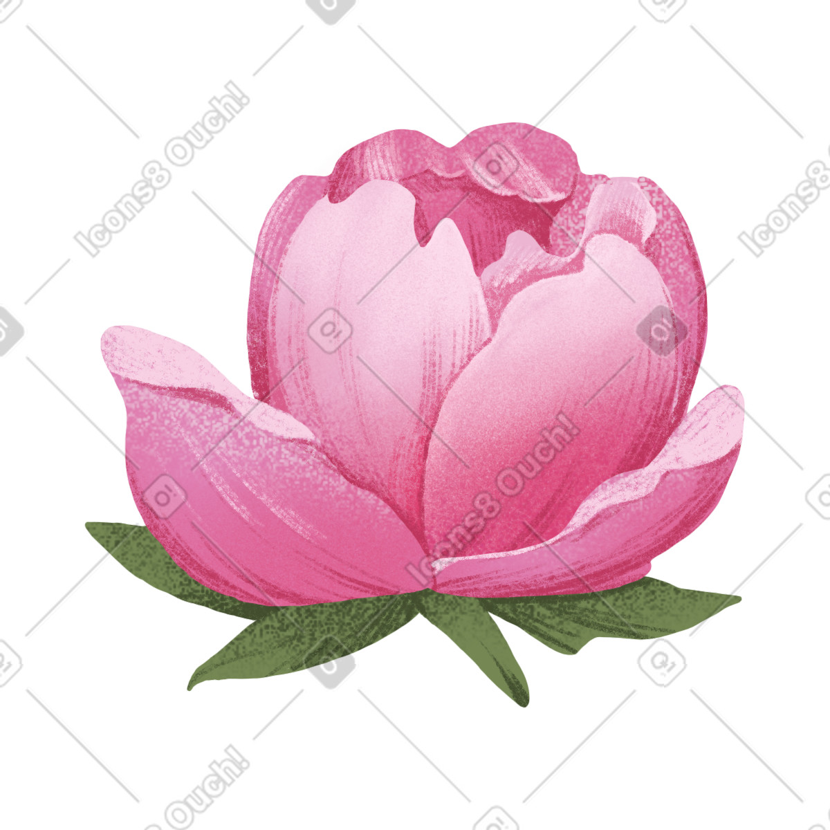 Small half-opened pink peony flower illustrazione in stile Floral scarica in PNG, SVG