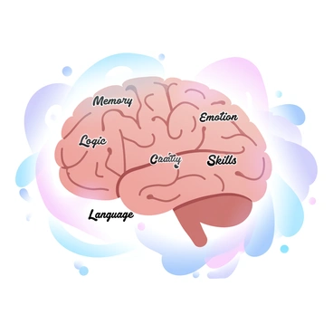 A conceptual map of the brain showing regions responsible for different cognitive functions