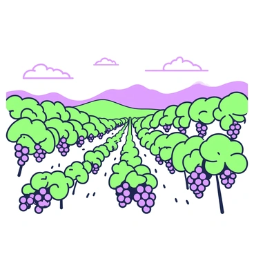 Rolling hills with rows of grapevines extending into the distance are prominently featured in the scene. The grapevines are full of ripe grapes, with clusters hanging from the vines. Each row of vines is neatly organized, creating a pattern across the hills. In the background, the hills gently rise and fall, adding depth to the landscape. The sky above is clear with soft, wispy clouds scattered throughout. The sunlight casts shadows on the ground, highlighting the texture of the soil between the rows of grapes.
