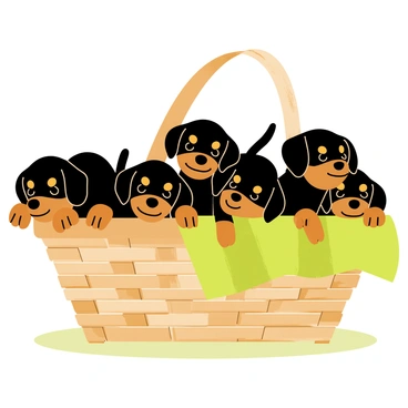 A wicker basket filled with a variety of rottweiler puppies. The puppies have shiny black fur with distinctive tan markings. Their small heads are peeking over the edge of the basket, with some resting their paws on the rim. A few have curious expressions while others appear playful, their tails wagging. The basket is placed on a soft green blanket, creating a cozy atmosphere. Soft sunlight casts a warm glow over the scene, highlighting the puppies' playful nature.