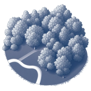 A dense forest viewed from an aerial perspective. The treetops are lush and varied, creating a textured green canopy. Intersecting the greenery are winding pathways, resembling veins, that cut through the forest floor, leading into the depths of the woods. The pathways are slightly lighter in tone than the surrounding foliage, creating a striking contrast against the thick vegetation.