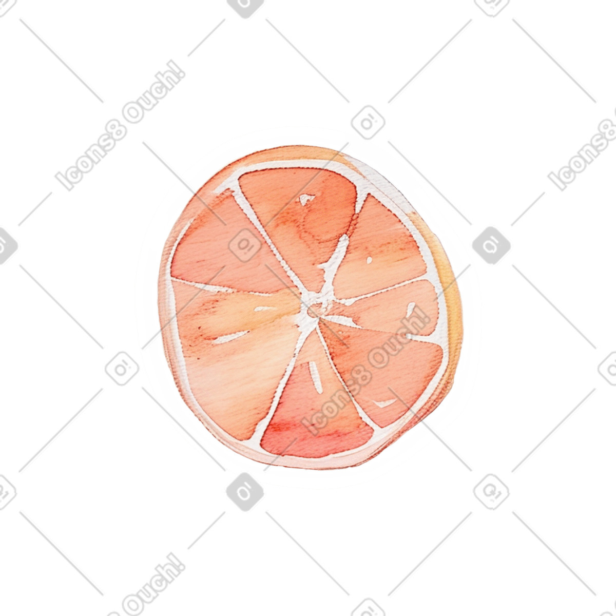Sliced ​​grapefruit illustration in Watercolor style download in PNG, SVG