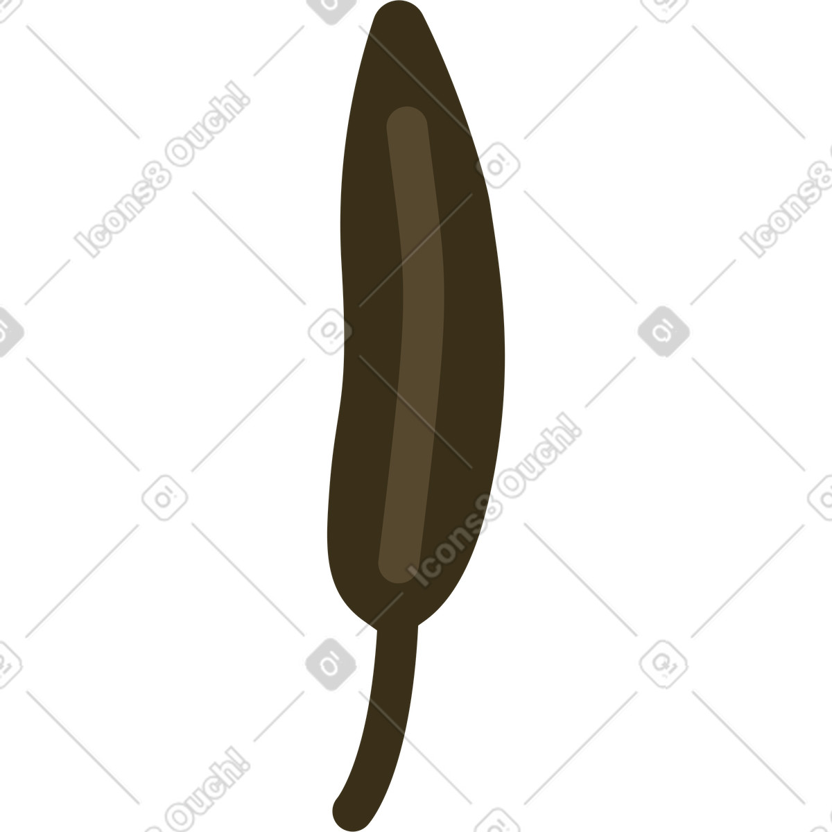Feather illustration in Arabica style download in PNG, SVG