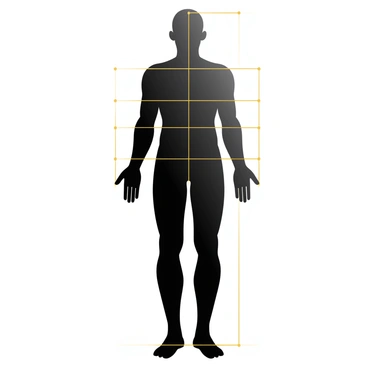 A human silhouette stands against a neutral background, showcasing well-defined body proportions. The silhouette is entirely black, with highlighted sections marked in bright golden lines to illustrate the golden ratio within the anatomy. These golden lines trace the head, torso, arms, and legs, creating a clear visual representation of the proportions. The highlighted sections emphasize the relationship between different parts of the body, allowing viewers to understand the concept of the golden ratio in human form.