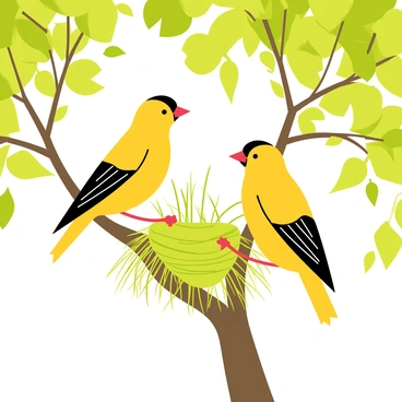 A pair of goldfinches building a nest together in a lush green tree