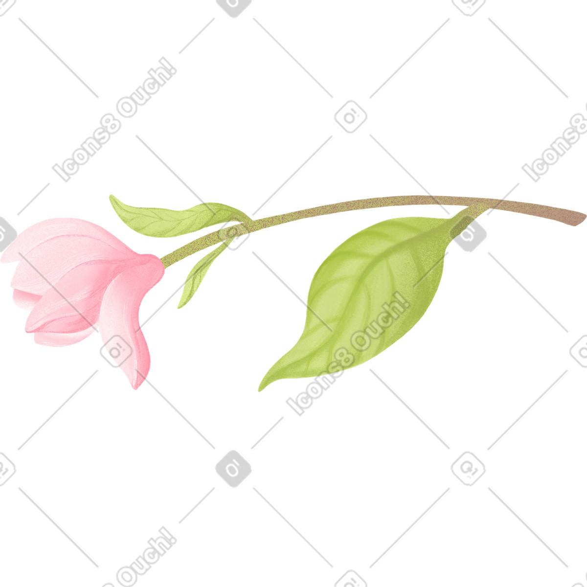 Twig with magnolia flower illustrazione in stile Floral scarica in PNG, SVG