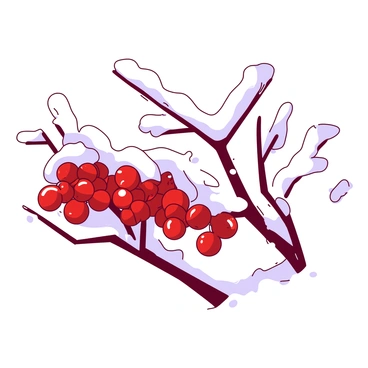 A white branch covered in snow is adorned with bright red berries glistening with frost. The berries are clustered closely, their shiny surfaces contrasting against the white snow. The background features more snowy branches, creating a serene winter atmosphere. The frost on the berries sparkles in the light, enhancing their vivid color against the muted whites of the surrounding branches.
