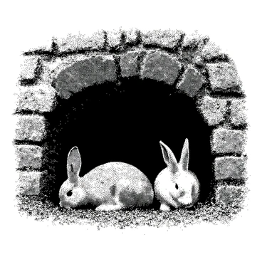 A small family of rabbits is nestled within the walls of a deserted trench. The trench is overgrown with grass and small wildflowers, creating a natural environment. The rabbits have soft fur, with distinct features such as long ears and twitching noses. One rabbit is digging at the ground, while another is peeking out from a small burrow. The third rabbit is sitting close by, grooming its fur. The walls of the trench show signs of age, with textured surfaces and small cracks. Light filters down into the trench, highlighting the rabbits and their surroundings.