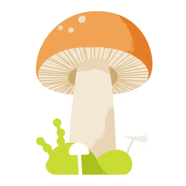 A close-up illustration of a "shiitake mushroom" showcasing its "rich brown cap" with "distinctive scalloped edges." The texture of the mushroom is highlighted, revealing "fine, delicate wrinkles" and "small, clustered spots" on its surface. The gills on the underside of the cap are visible, displaying "thin, closely spaced layers." Surrounding the mushroom, there are "green moss" and "tiny white mushrooms" in the background to enhance the natural setting.