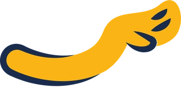 Hand PNG, SVG