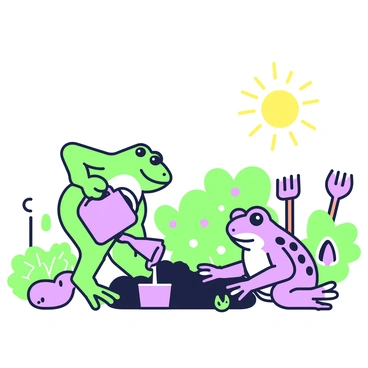 Illustrations