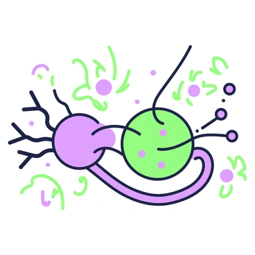 A close-up illustration of a synapse in the parasympathetic division