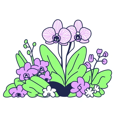 A display of various orchids arranged in a botanical garden. At the center, there are several elegant purple orchids with intricate petal patterns. Surrounding these are several green orchids, showcasing different shapes and sizes. There are also smaller clusters of purple orchids positioned near the edges, adding depth to the arrangement. The background features lush green foliage that complements the orchids, creating a vibrant atmosphere. The scene is well-lit, highlighting the delicate textures and details of each orchid blossom.