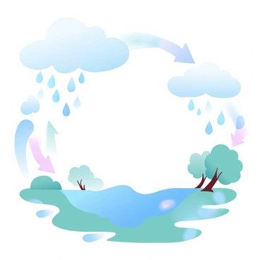 An illustration depicting the water cycle. Large clouds are present in the sky, with droplets of water falling as rain. Below the clouds, there are bodies of water like lakes and rivers. Arrows are indicating the movement of water from the surface to the atmosphere, showing evaporation and condensation processes. The ground is visibly moist, with some plants and trees present, illustrating the absorption of water. The overall scene is vibrant with varying shades of blue, green, and white.