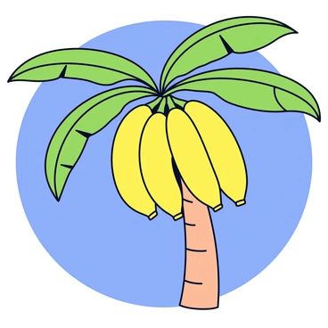 A cluster of ripe yellow bananas hangs from a tropical banana tree. The bananas have a smooth, slightly shiny surface and are arranged in a curved formation. The tree has broad green leaves that arch gracefully around the bananas. The trunk of the tree is stout with a light brown color, showing a texture that resembles a fibrous outer layer. The background features a vibrant blue sky, enhancing the tropical setting.