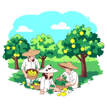 Farmers in a lush orchard are carefully picking ripe yuzu fruits from vibrant green trees. The farmers are wearing straw hats and light-colored clothing to protect themselves from the sun. Each farmer holds a basket filled with bright yellow yuzu fruits, while some yuzu fruits hang on the branches, glistening under the sun. A few fluffy white clouds can be seen in the clear blue sky above, creating a peaceful atmosphere in the orchard. The ground is dotted with fallen yuzu fruits and green leaves, adding to the natural beauty of the scene.