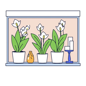 A shop window display showcasing several peace lilies in white pots. The peace lilies have lush green leaves and delicate white flowers blooming prominently. Surrounding the plants are elegant decor pieces, including a tall glass vase, a polished wooden figurine, and a stylish metal candle holder. The background of the display is a soft neutral color, enhancing the visual appeal of the arrangement. The entire scene is well-lit, accentuating the vibrant greens and whites of the plants.