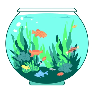 A teal fish tank is filled with various species of colorful fish swimming gracefully amidst lush aquatic plants. The fish display a range of patterns and colors, including orange, yellow, and blue, as they dart among the tall green plants. Some fish are small and vibrant, while others are larger and have more intricate markings. The tank is illuminated from above, highlighting the shimmering scales of the fish and the delicate leaves of the plants, creating a lively underwater scene.